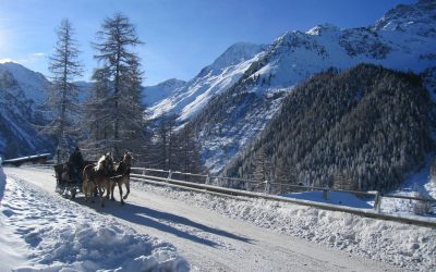 Mit der Kutsche durch das “Winterwonderland”